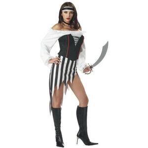 California Costume Sexy Pirate Buccaneer Babe Woman's Costume Sz Sm Halloween